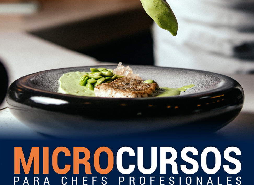 PASTILLA MICROCURSOS